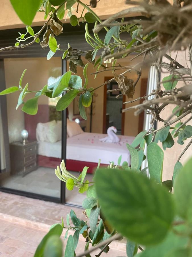 Fabuleux Appartement, Rez De Jardin Au Sein De La Palmeraie *