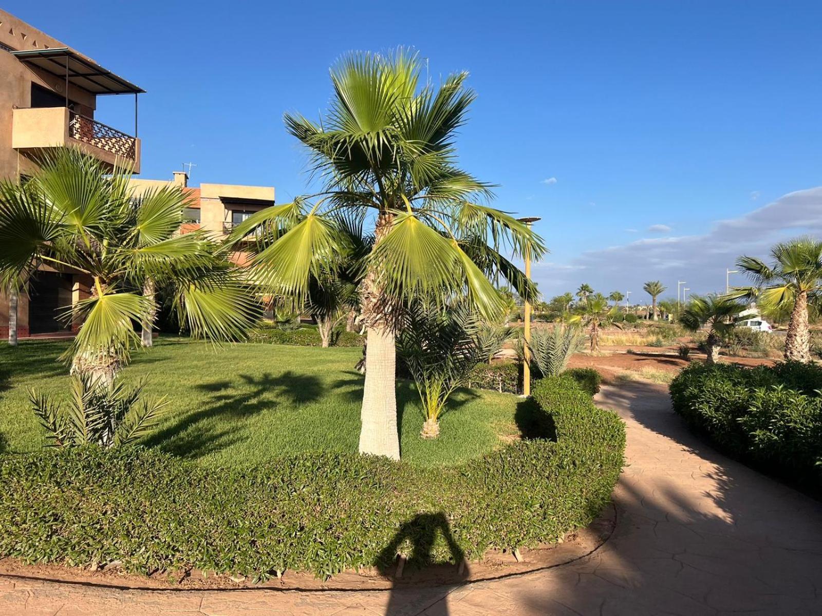 Apartment Fabuleux Appartement, Rez De Jardin Au Sein De La Palmeraie *